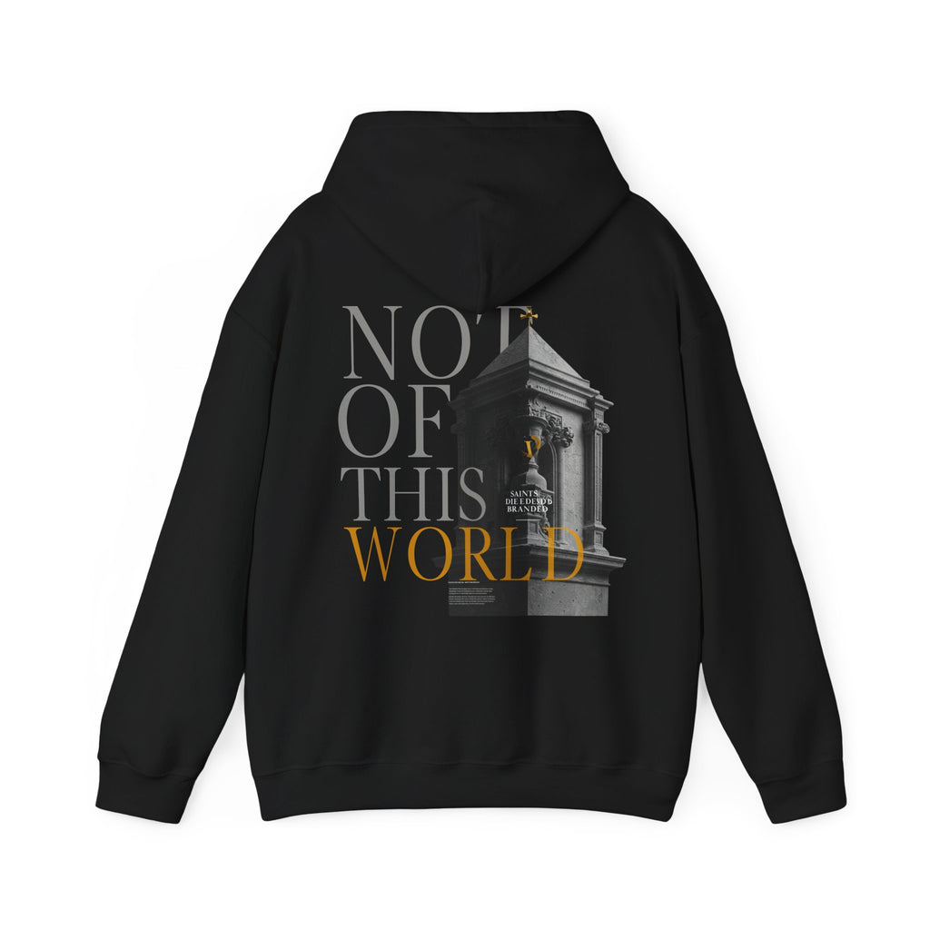 Not of this world | 025 Heavy Hoodie