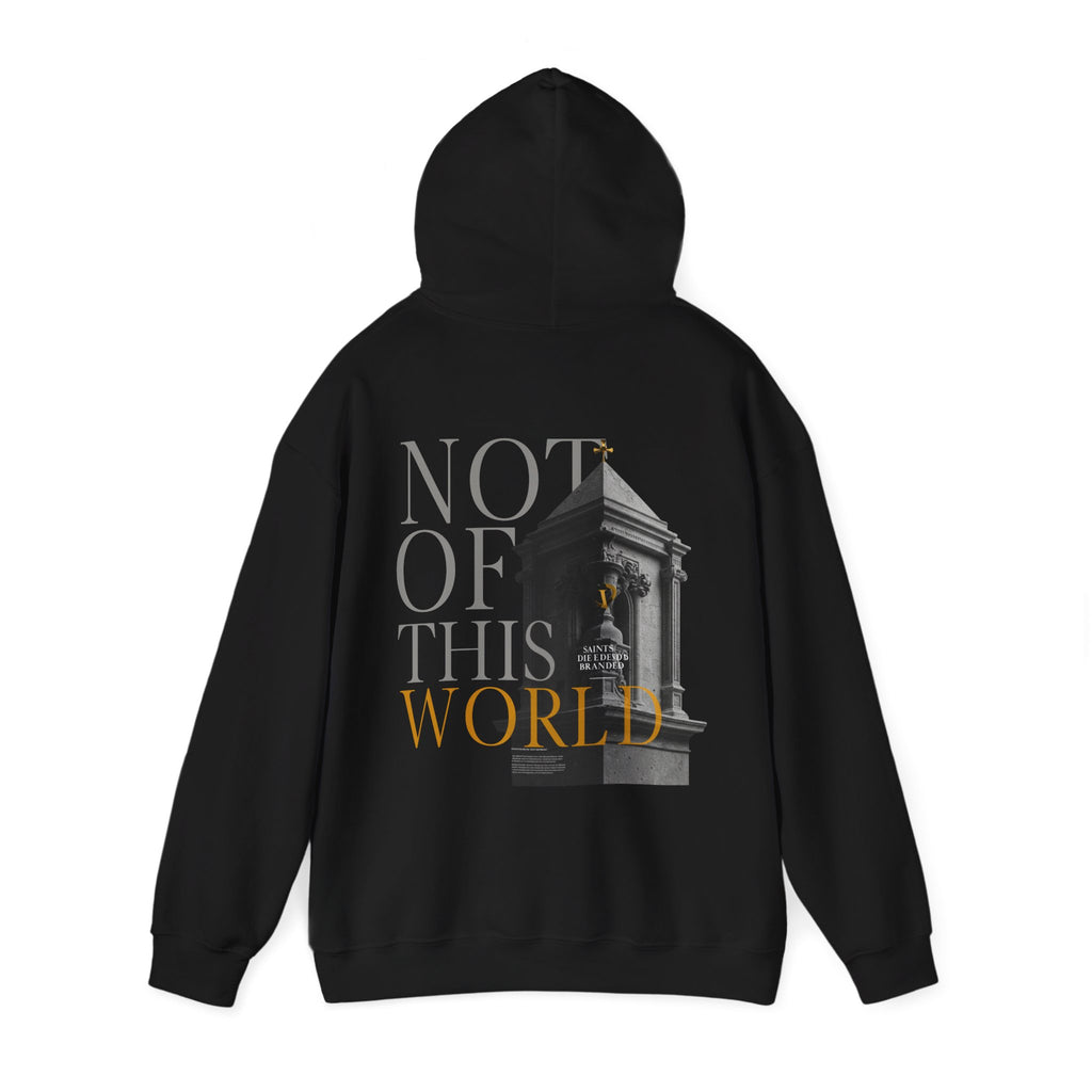 Not of this world | 025 Heavy Hoodie